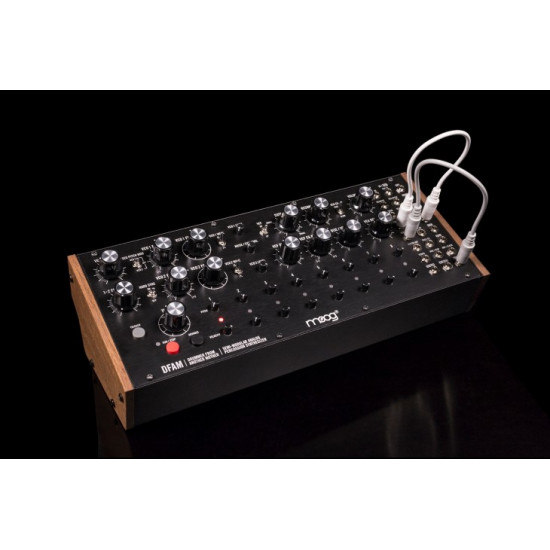 Moog DFAM